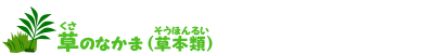 草のなかま