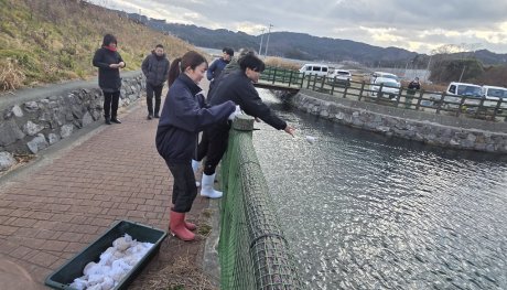 ⑤直接投げて種まき