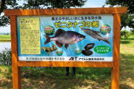 ゼニタナゴ