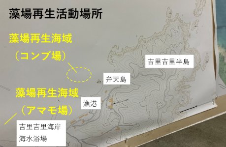 藻場再生活動場所