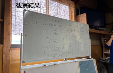 観察結果