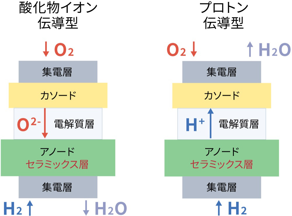 酸化物イオン伝導型とプロトン伝導型の比較